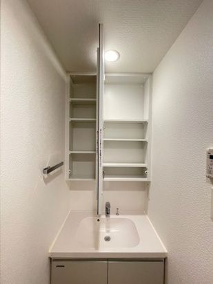 DIPS十条仲原EASTの洗面所