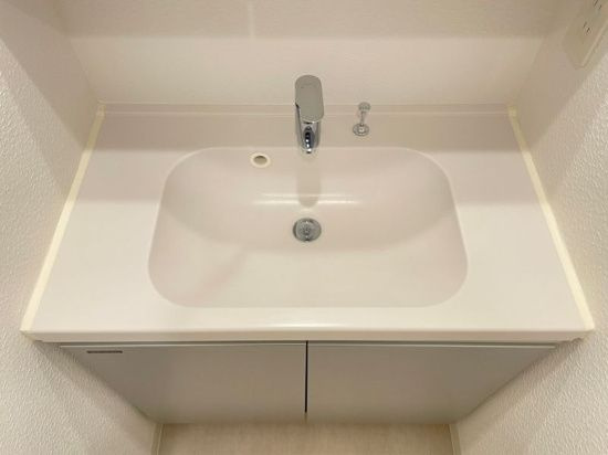 DIPS十条仲原EASTの洗面所