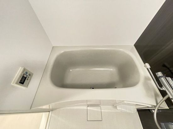 DIPS十条仲原EASTの浴室