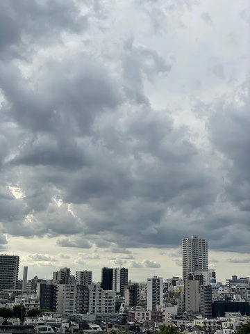 柏木ローズマンションの展望