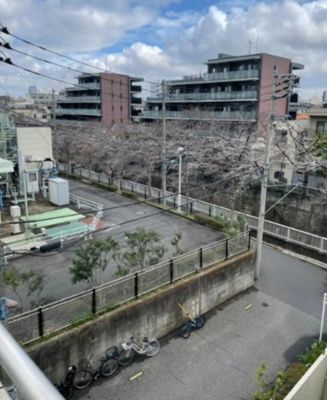 【展望】 | 日興パレス高田馬場 | 春には神田川沿いの桜が咲き誇ります