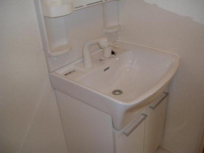 メゾン ド グランメールの洗面所