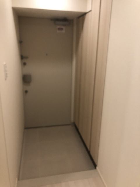 パークナードフィット南青山Vistaの玄関|画像は同タイプ住戸です。