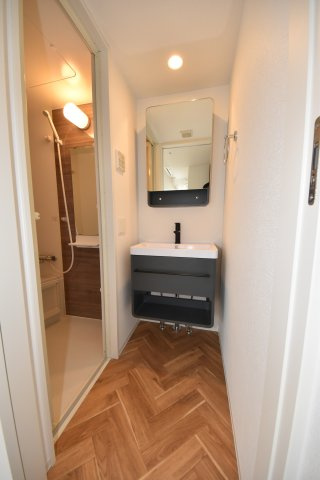 セレニテ難波グランデシュッドの洗面所