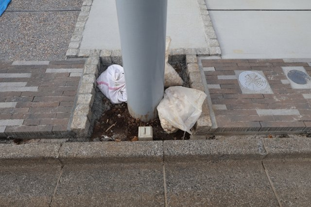 【外観】 | 《仲介手数料無料》北区東大成町２丁目317-1(2号棟)新築一戸建てブルーミングガーデン | 撮影日 2025年10月6日 14:50 晴れ