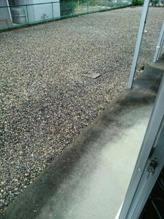 【バルコニー】 | シティハイツフォレスト