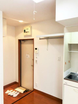 【その他】 | グレースルピナス | (同一仕様写真)