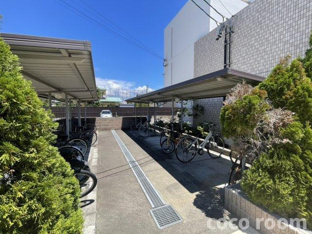 ブライトハウスの展望