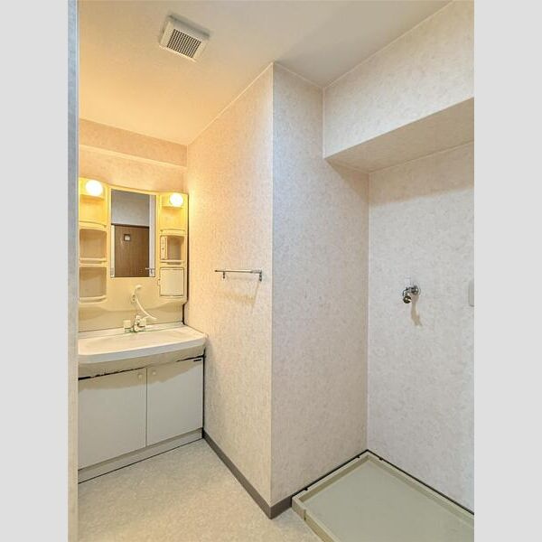 ルピナス南大路の洗面所