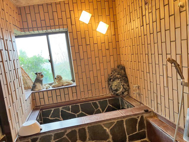 【浴室】 | 函南町丹那(ダイヤランド) 中古住宅 EH05888 | 函南町丹那　浴室