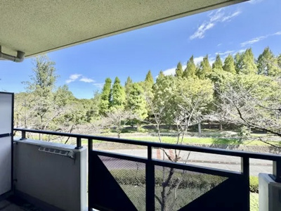 【展望】 | レクセルガーデン水元公園 | 眺望