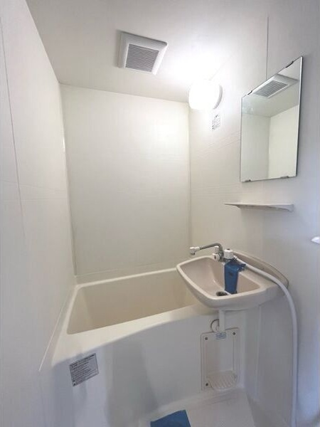 シャトー黄金の洗面所