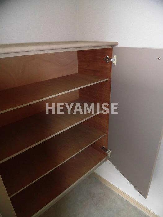 ヴェルディ藤﨑のその他