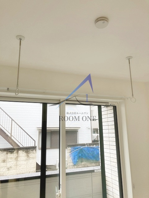 Ｌａｎａ　Ｆｒｕｓｉａのその他