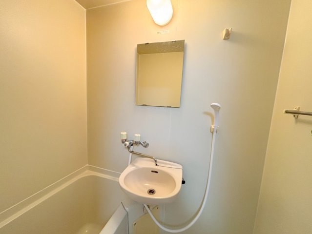 シュロス野口の洗面所