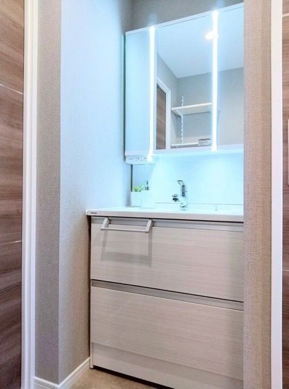 ライオンズマンション飯田橋の洗面所