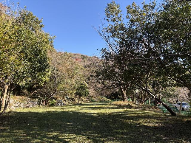 沼津市　戸田の外観
