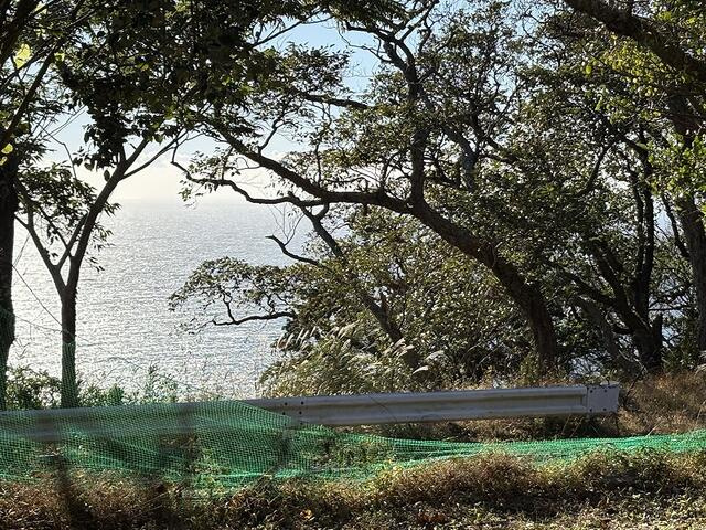 沼津市　戸田の展望|眺望
