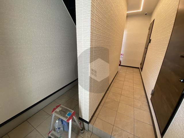 ラフィーネ放出のロビー