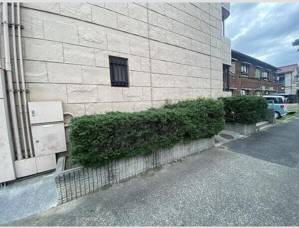 ヒラソルのその他