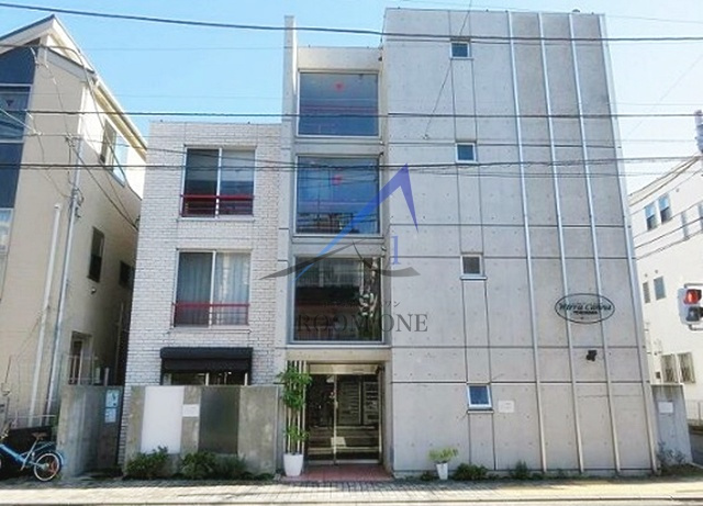 Ｗｉｒｒａ　Ｃａｎｎａ　ＹＯＫＯＨＡＭＡの外観|外観です。