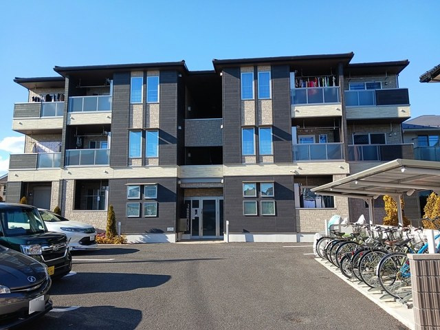 チューリップ ツリー