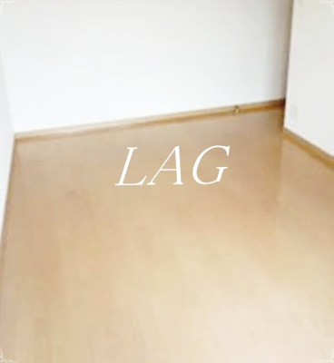 【居間・リビング】 | スカイコート市ヶ谷柳町 | 洋室のお部屋です。