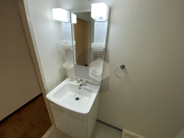 東大阪市御厨栄町３丁目の賃貸マンションの独立洗面台