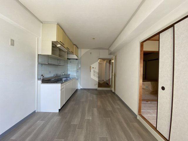 東大阪市御厨栄町３丁目の賃貸マンションの内装