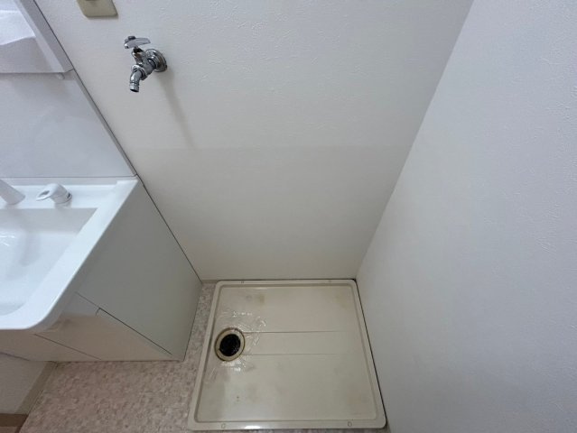 メゾンブランシェの洗面所