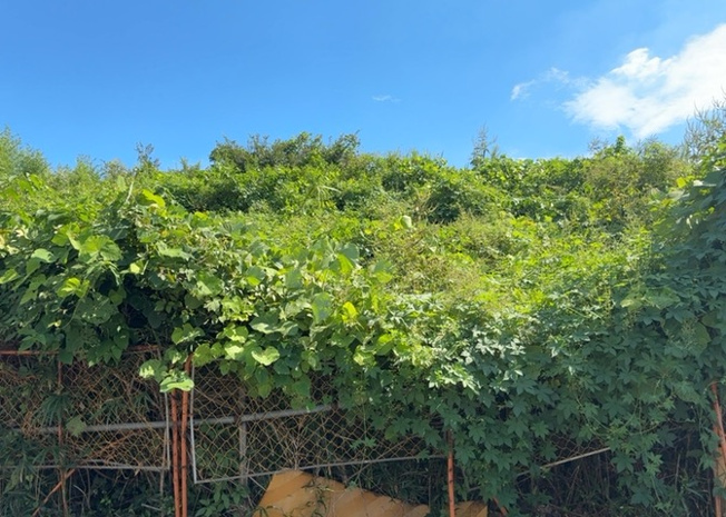 【展望】 | 眺望を気にして物件を探す場合、前面に建物が建っていないか現地で確認しましょう！前面に建物があると景色はもちろん、日当たりや風通しにも影響が出てきます。住んだ時のことを想像しながら現地見学をしましょう。