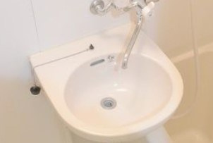 リリエンベルグ弐番館の洗面所