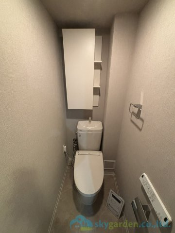 ザ・ヒルズ秦野レジデンスのトイレ