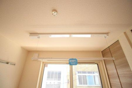 アレグリアのその他|その他