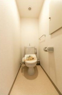 【トイレ】 | アーバンコート北新宿 | 温水洗浄便座。