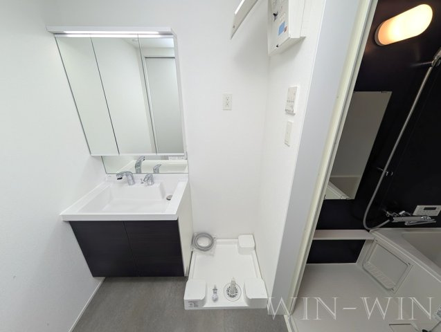 Jack funamachi Ⅰの洗面所