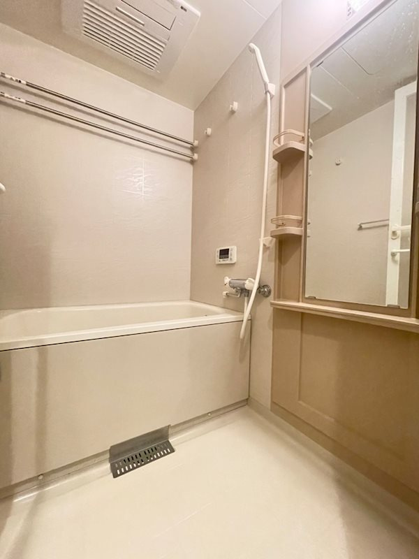 プレサンス三宮花時計前の浴室