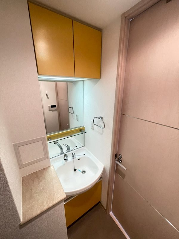 プレサンス三宮花時計前の洗面所