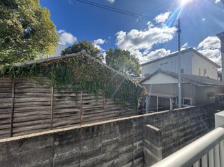 【展望】 | ブルーメ森井