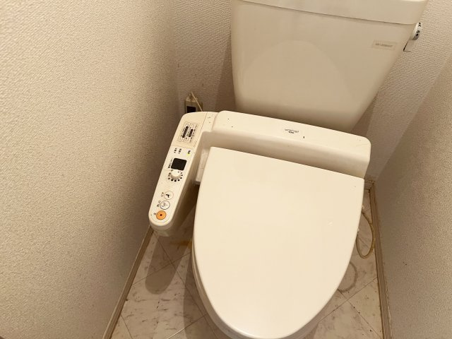 ブリッジ杉井流のトイレ