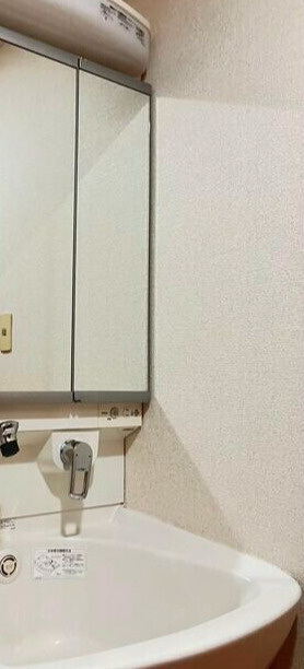 ロイヤルグリーン本郷の洗面所