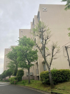 【外観】 | さつき住宅２５号棟 | 外観も気になるポイント