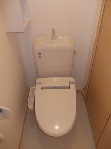 マリーゴールドのその他