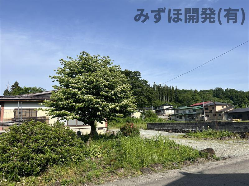 村山市大字稲下1190の庭