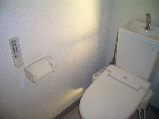 ピアヒルズⅡのトイレ