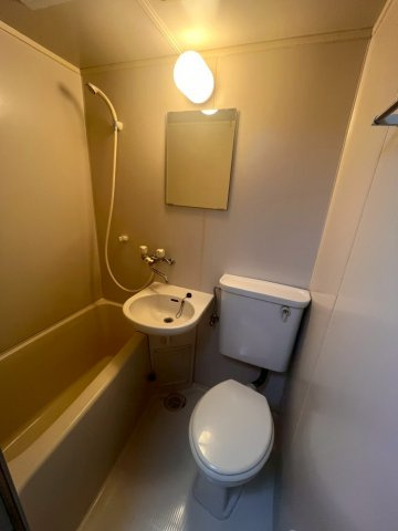 ダイアパレスステーションプラザ前橋の浴室