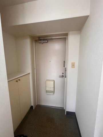 ダイアパレスステーションプラザ前橋の玄関