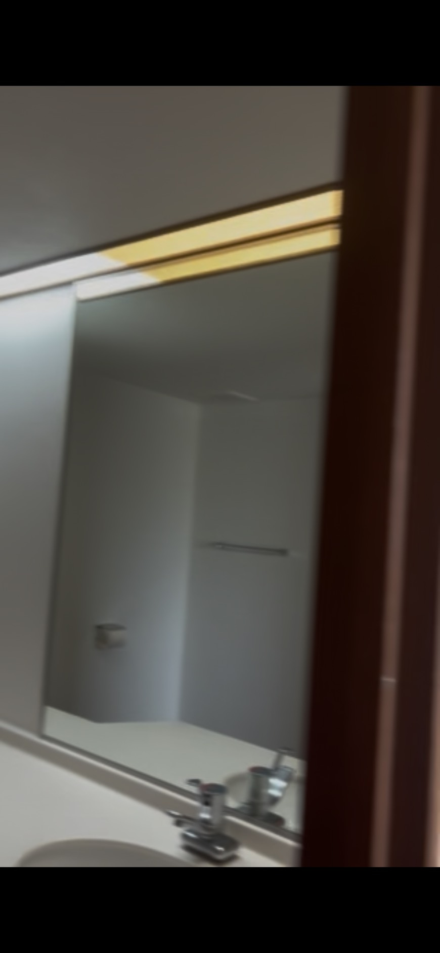 ペア・ドルチェ六甲の洗面所