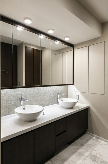 S・東京ポートシティ竹橋のその他|洗面