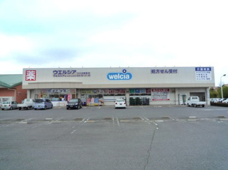 【周辺】 | プラシードⅡ | ウエルシア豊里店まで650m